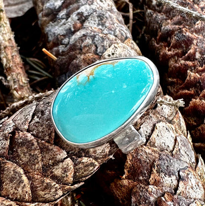 Blue Tyrone Turquoise with Tan Matrix Size 6.75